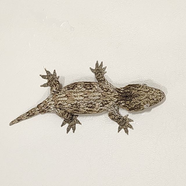 누아나