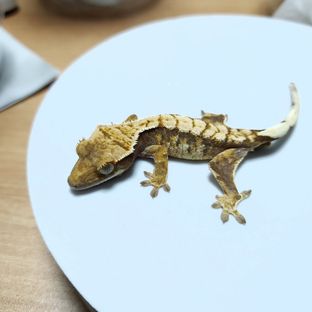 2번