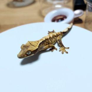 7번