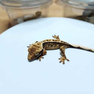 1번