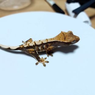 21번