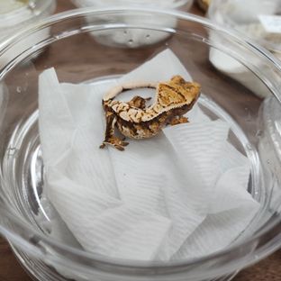250120라방