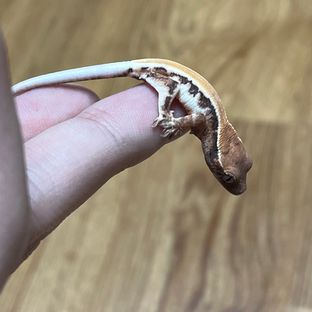 써니