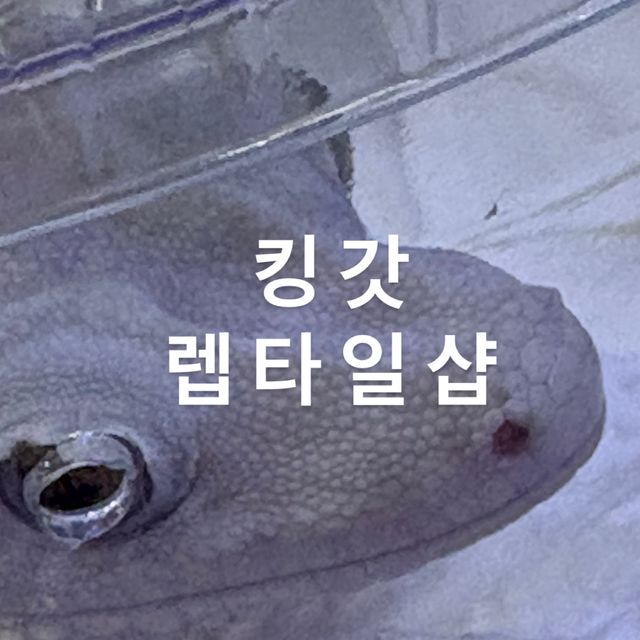 릴잔틱