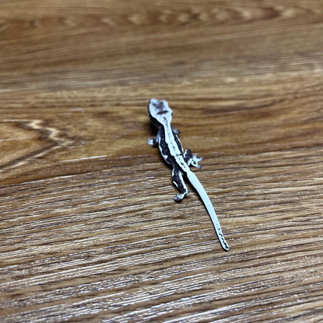 릴잔틱 다크