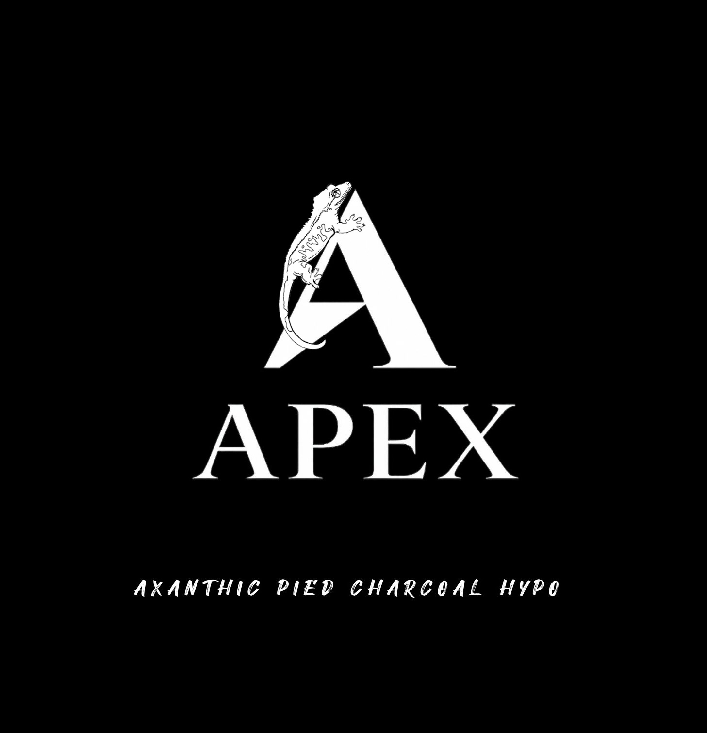 APEX
