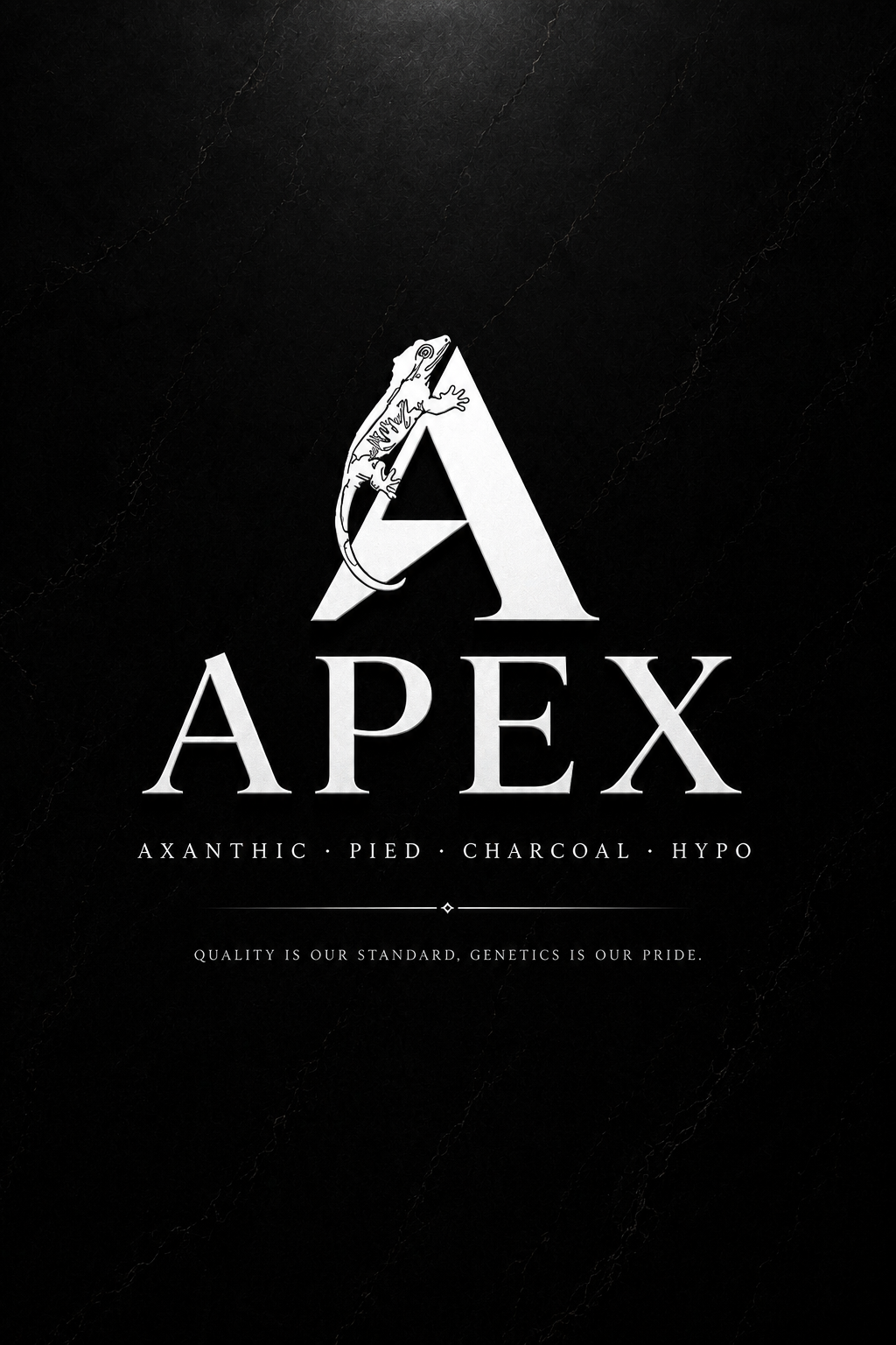 APEX에이팩스