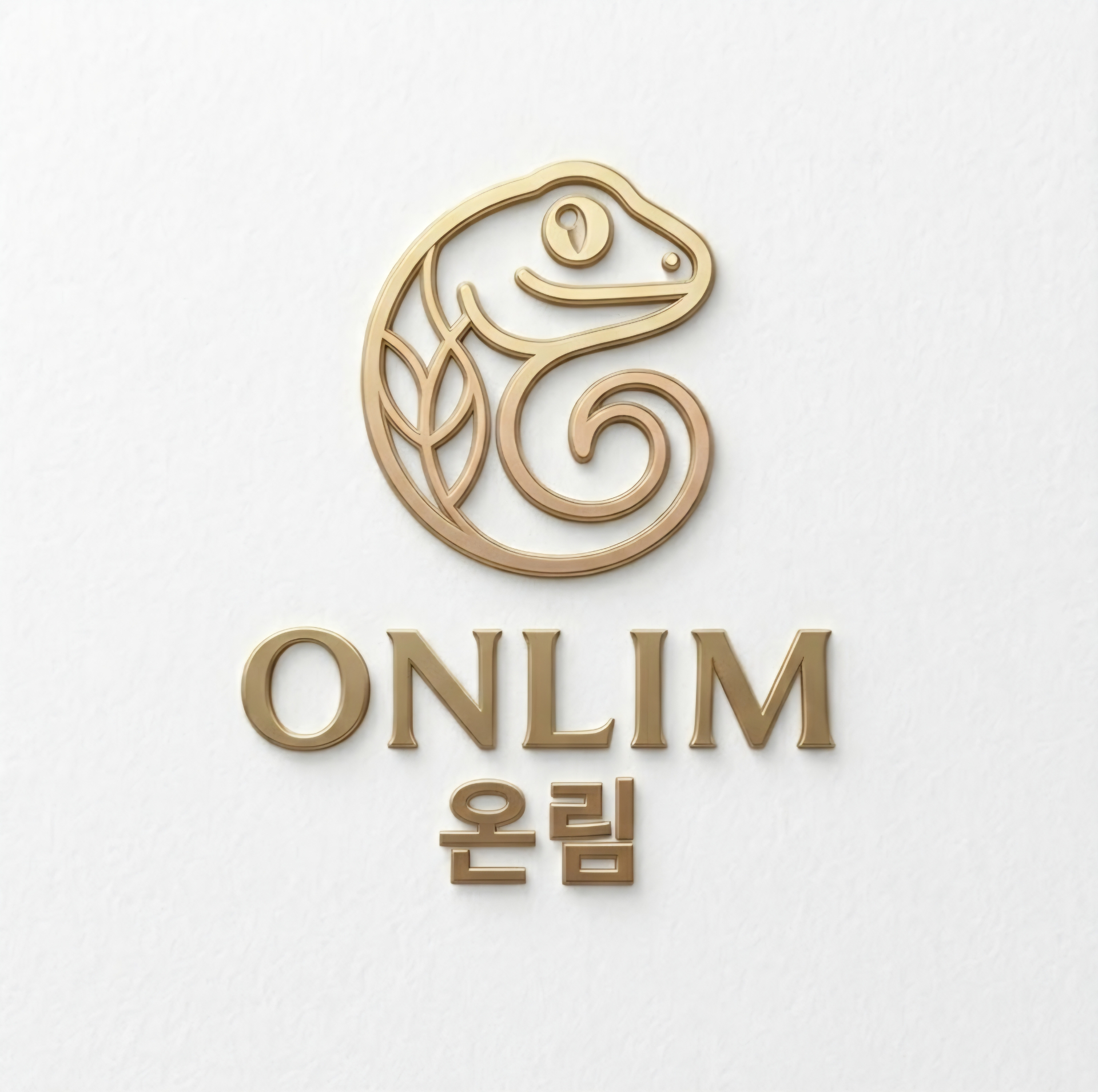 온림Onlim