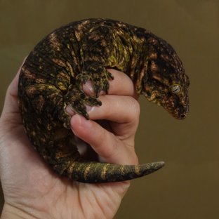 통키