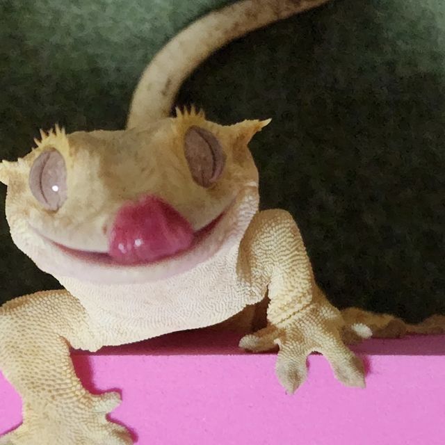 크림