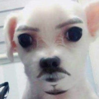 좃만이