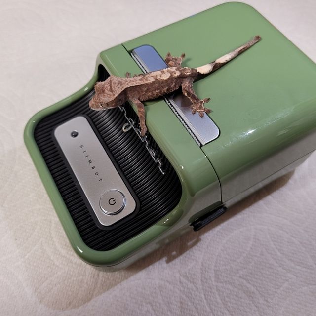 카푸치노