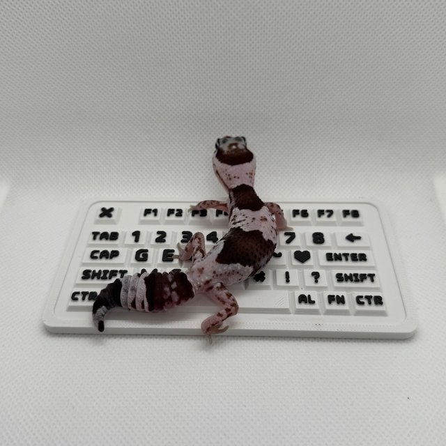 줄루 오레오 헷 고스트 카라멜