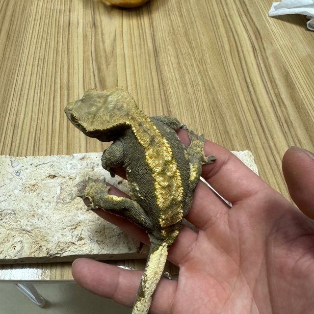 플레임 다크 블랙