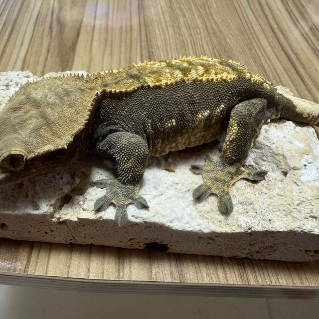 플레임 다크 블랙