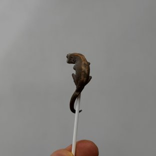 슈퍼 세이블
