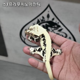 스