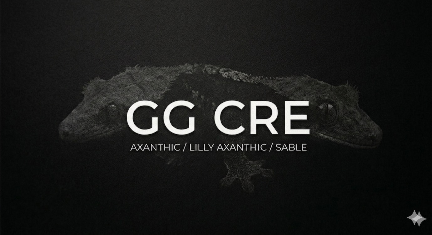 GyuGomCRE