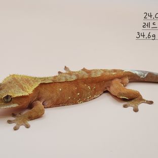 구버 1호기