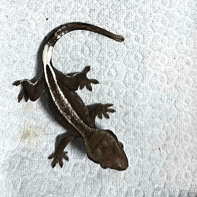 아잔틱