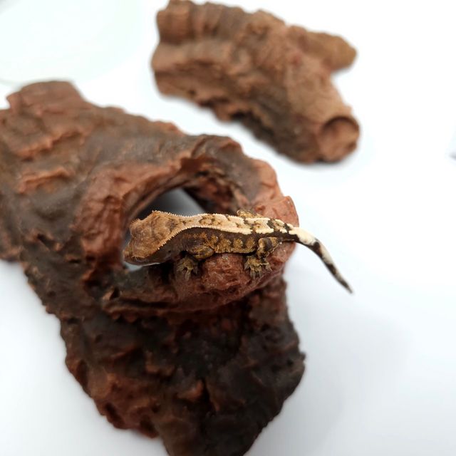 세이블