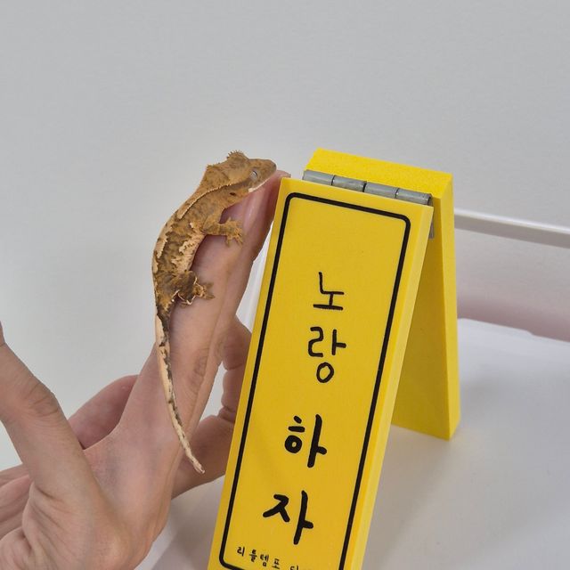 크림시클