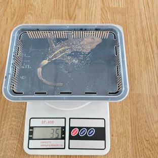 카푸치노