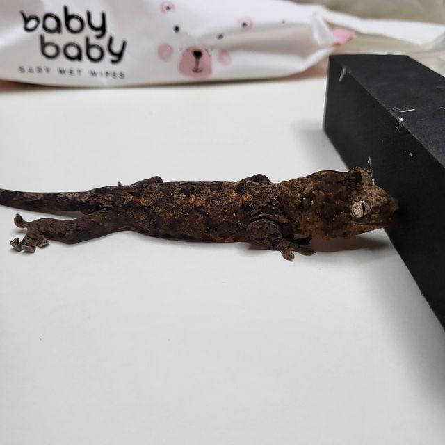 파인아일랜드