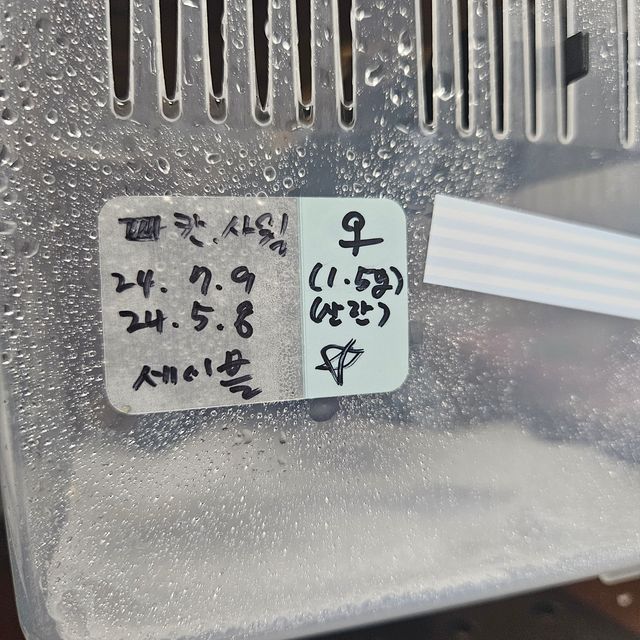 세이블