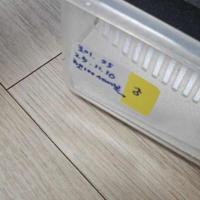 세이블 100%헷아잔틱