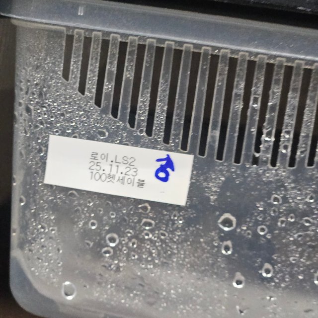 세이블 100%헷아잔틱