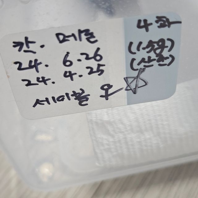 세이블 드리피 화이트스팟