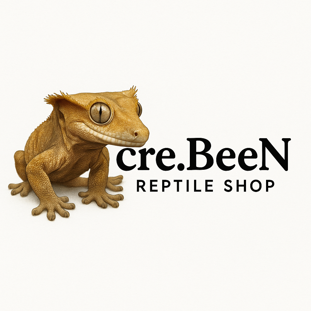파충류샵크레빈