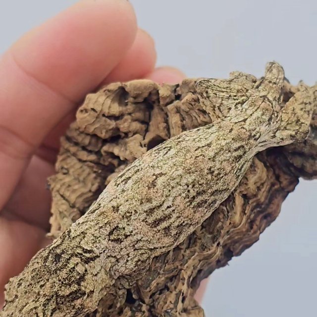 하이 컬러 트루 컬러