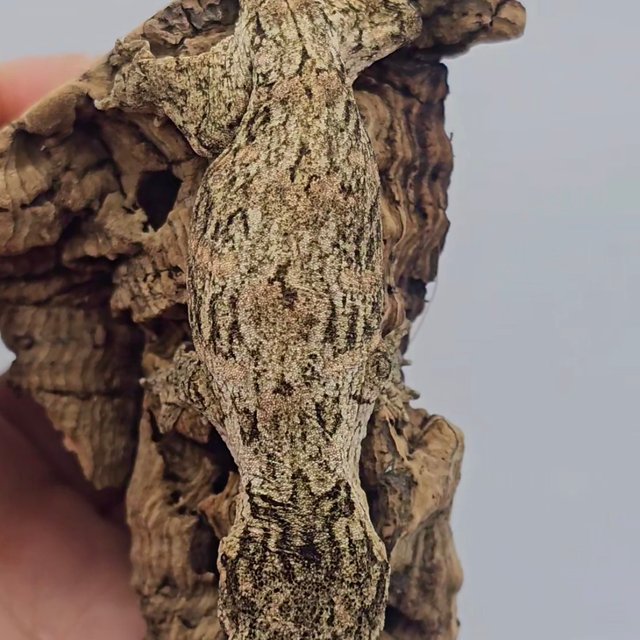 하이 컬러 트루 컬러