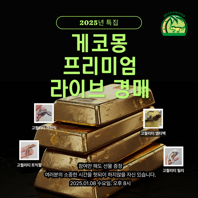 노멀