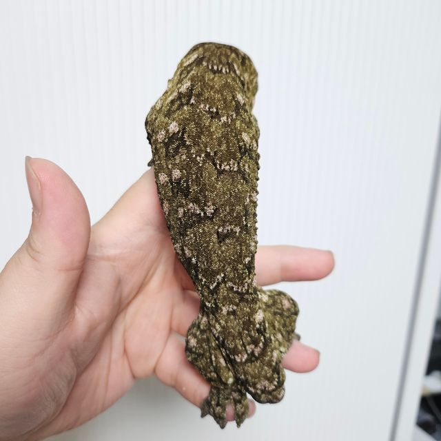 카나와