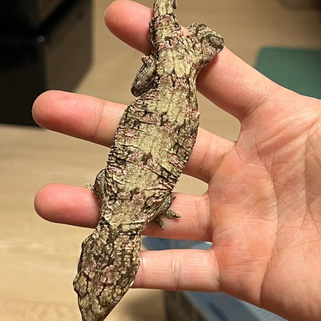 트루 컬러 하이 컬러