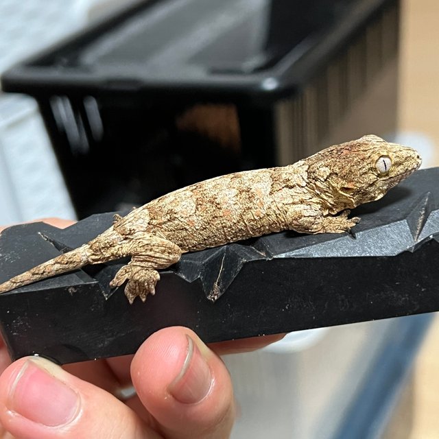 하이 컬러 트루 컬러