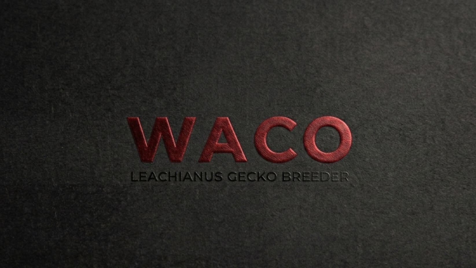 Waco