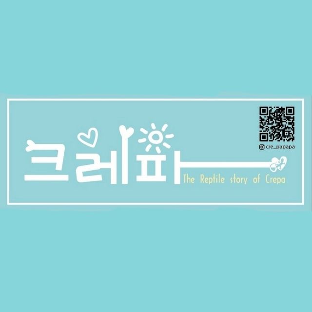 노멀