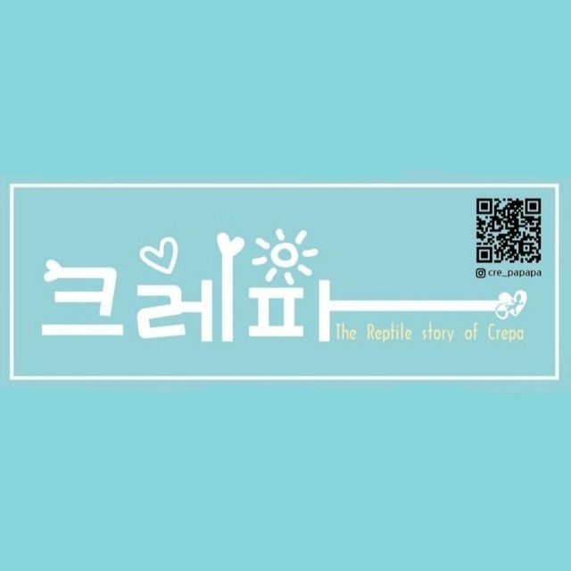 슈퍼달마시안
