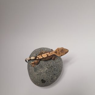 100%헷아잔틱 세이블