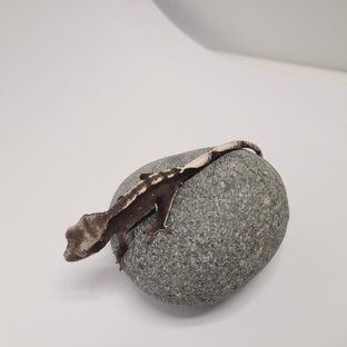 아잔틱