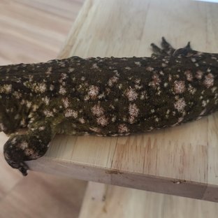 트루 컬러 하이 컬러