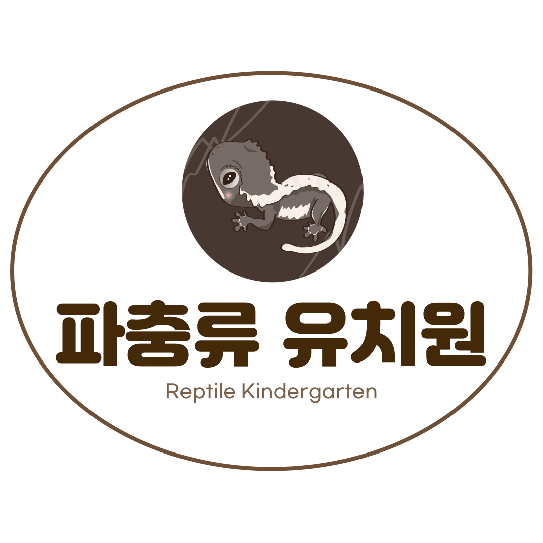 파충류유치원