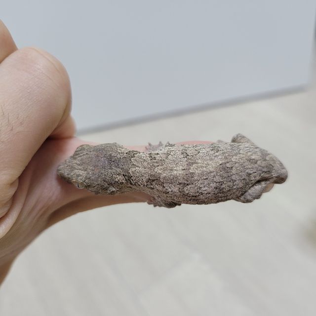 누아나