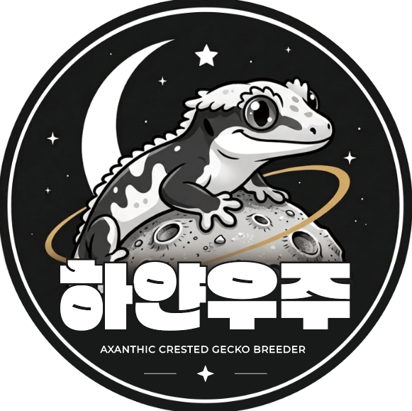 하얀우주