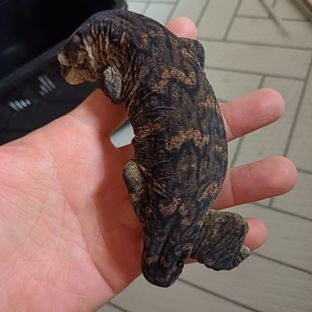 라현이