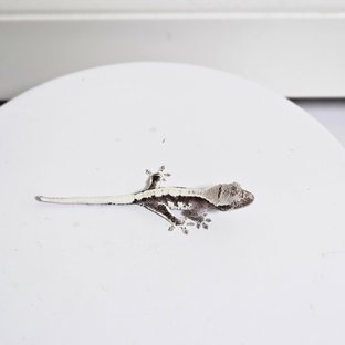 릴잔틱 솔리드백